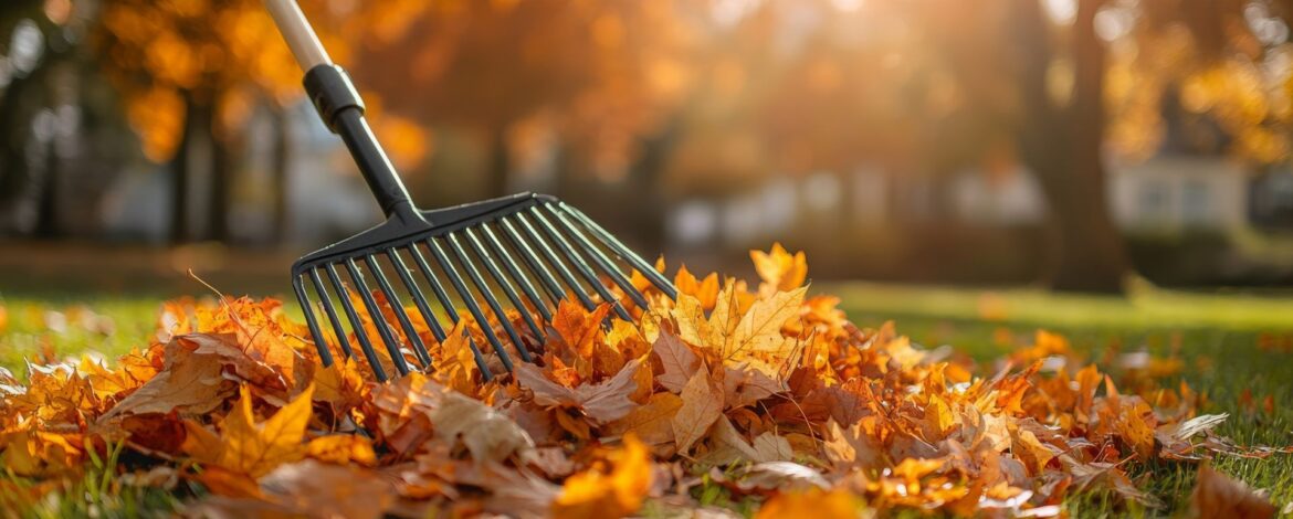 fall clean-up