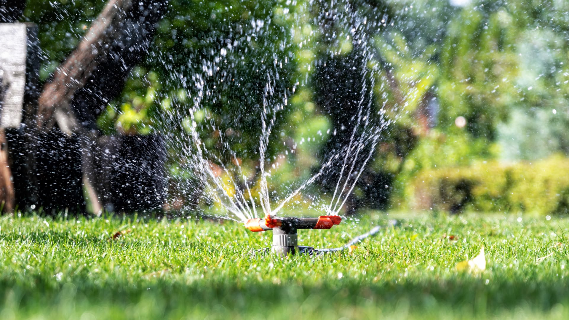 lawn sprinkler