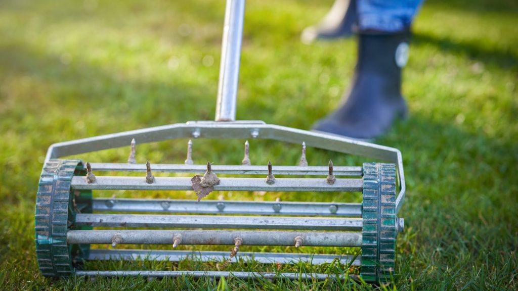 Aerate Your Lawn