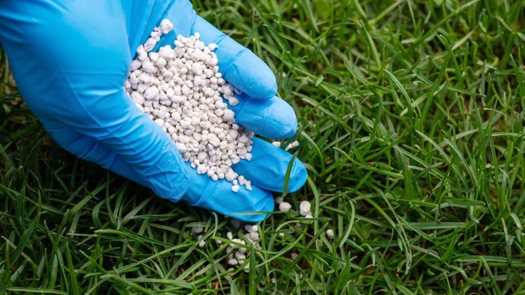Apply Fall Fertilizer
