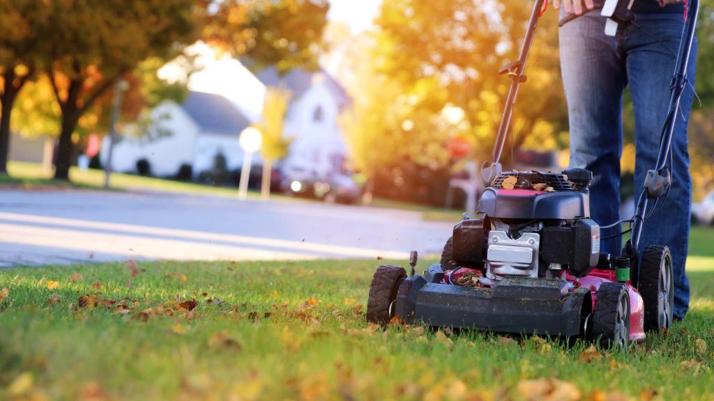 Continue Mowing Your Lawn