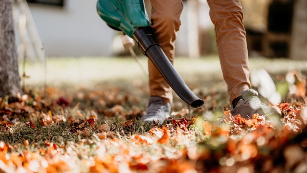 Remove Leaves and Lawn Debris